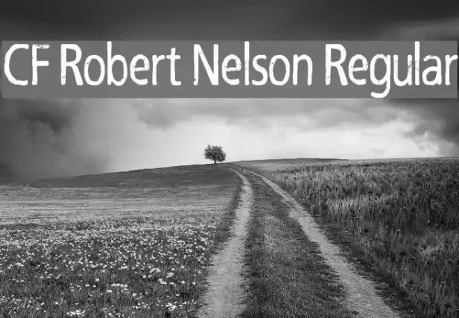 CF Robert Nelson Regular Font examples