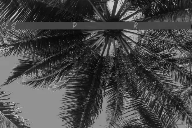 CF Sacred Planet Regular फ़ॉन्ट examples