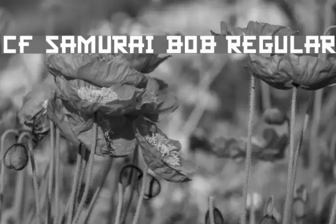 CF Samurai Bob Regular Font examples