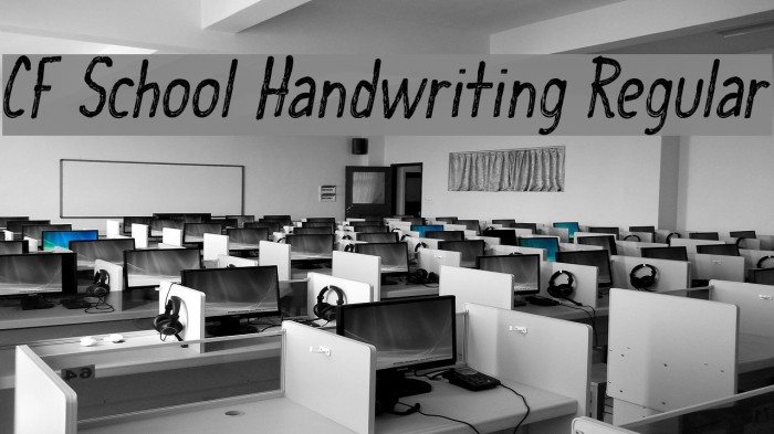 CF School Handwriting Regular Font examples