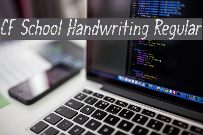 CF School Handwriting Regular Font examples