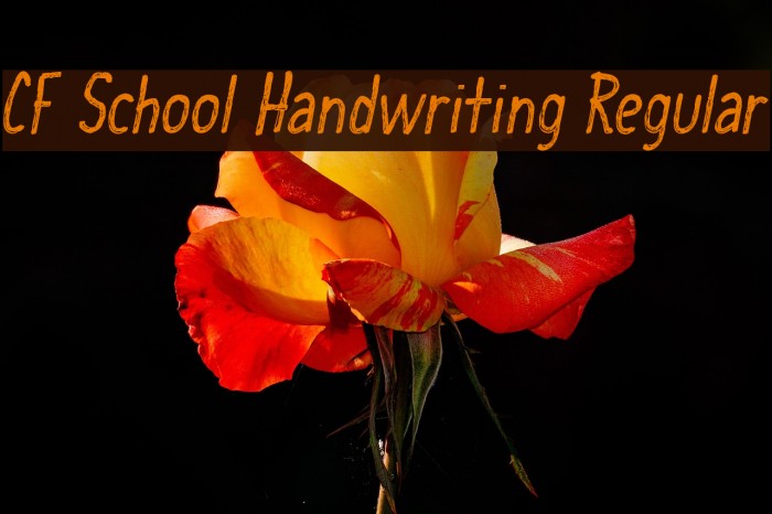 CF School Handwriting Regular Font examples