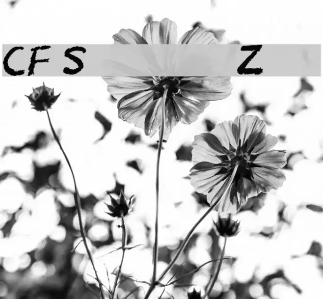 CF School Zone Font examples