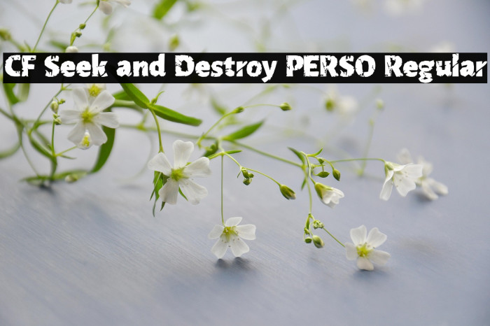 CF Seek and Destroy PERSO Regular Example 2