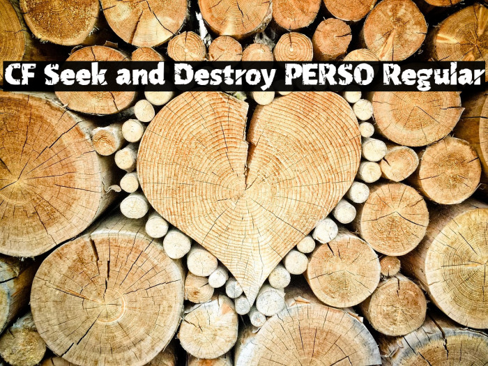 CF Seek and Destroy PERSO Regular Example 3