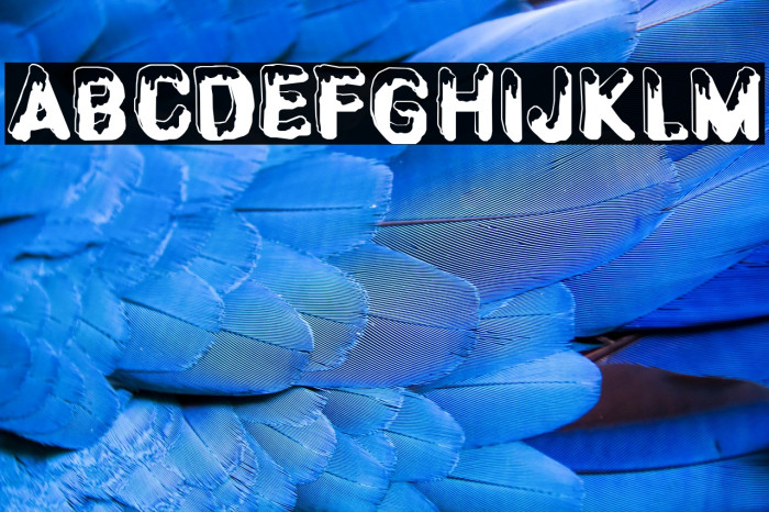 CF SnowBall Regular Example 2