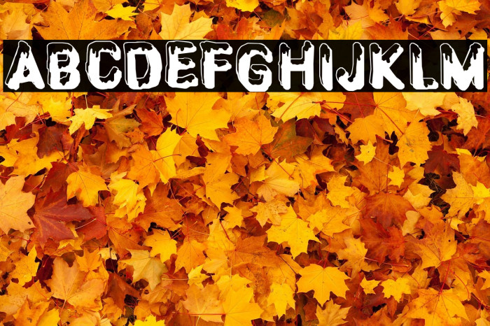 CF SnowBall Regular Example 3