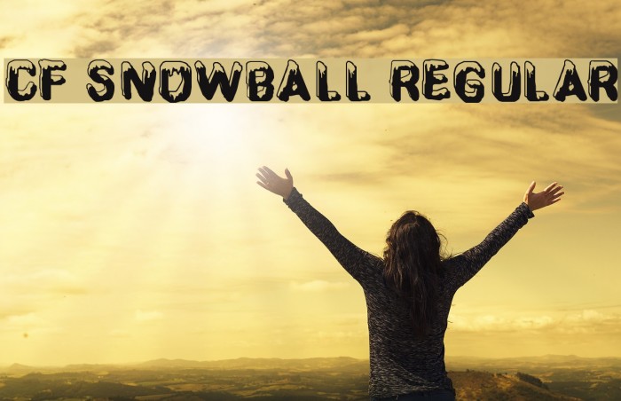 CF SnowBall Regular Font examples