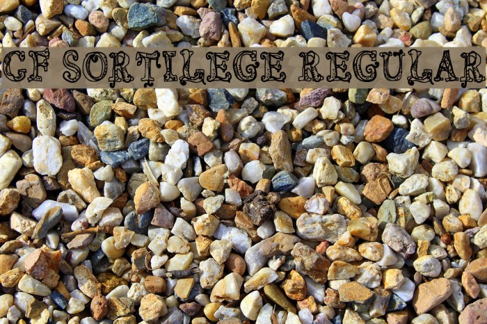 CF Sortilege Regular Font examples