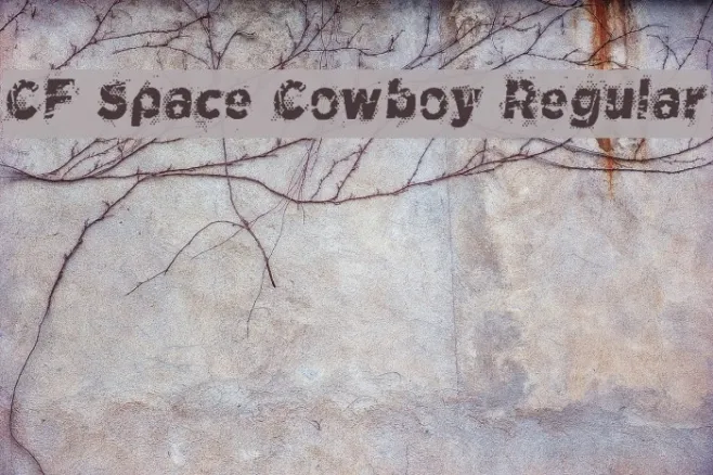 CF Space Cowboy Regular Example 1
