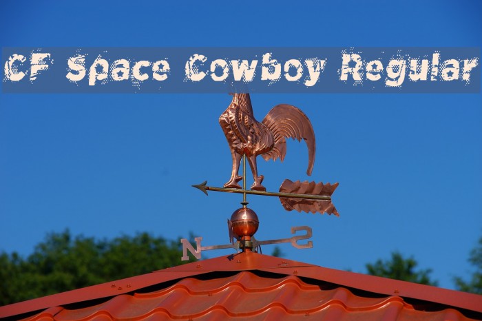 CF Space Cowboy Regular Font examples
