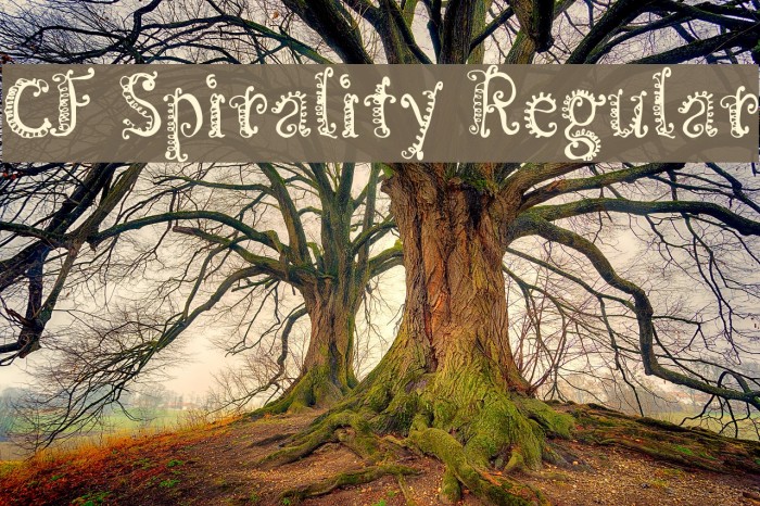 CF Spirality Regular Example 1