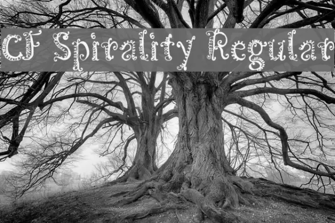 CF Spirality Regular Font examples