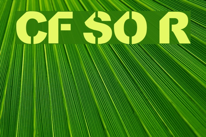 CF StencilOrama Regular Example 1