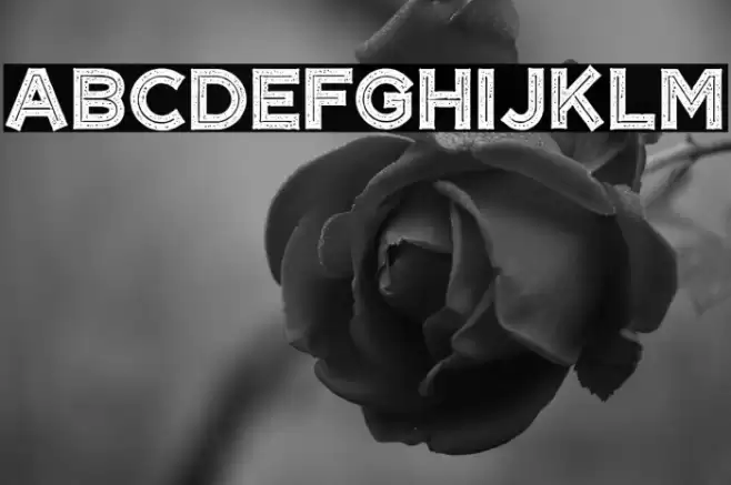 CF Tangerine Grunge Regular Font examples