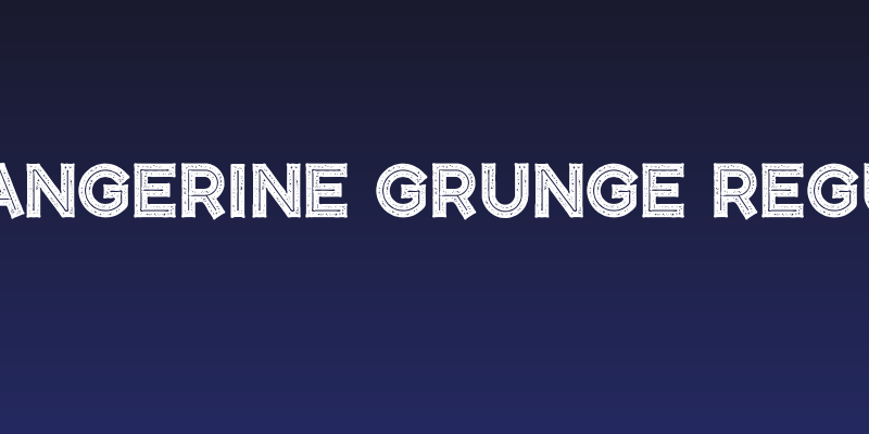 CF Tangerine Grunge Regular Social Header