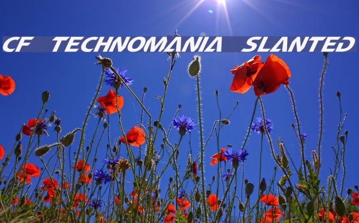 CF TechnoMania Slanted Example 2