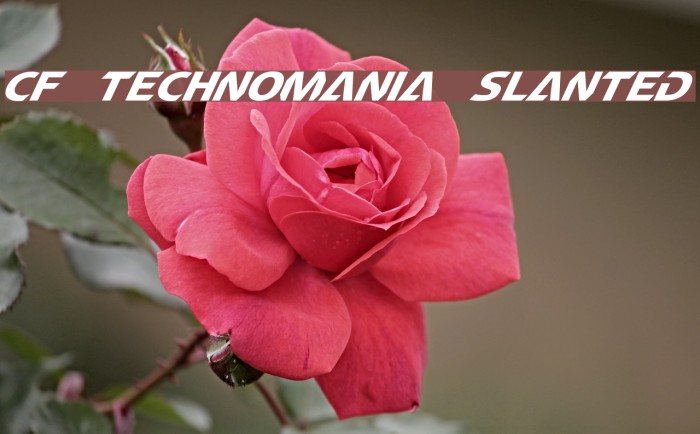 CF TechnoMania Slanted Example 3