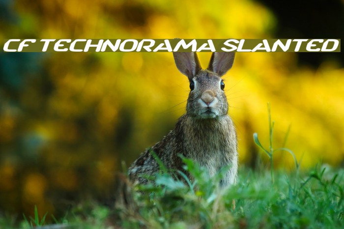 CF TechnoRama Slanted Font examples
