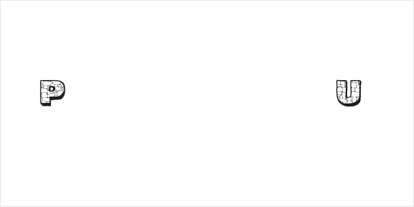 CF The Rock Personal Use Regular Logo