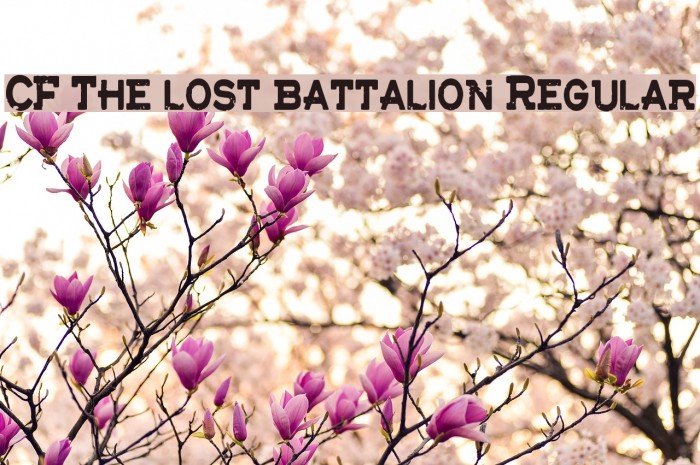 CF The lost battalion Regular Font examples