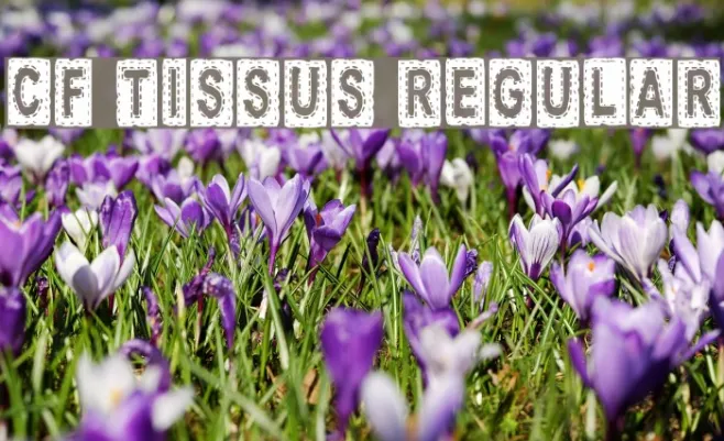 CF Tissus Regular Example 2