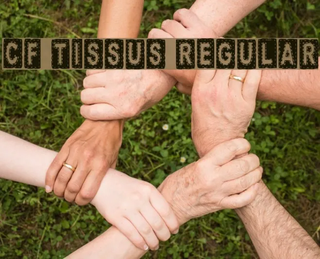 CF Tissus Regular Example 3