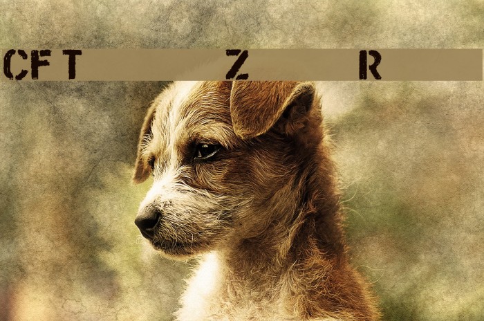 CF Trash Zone Regular Example 1