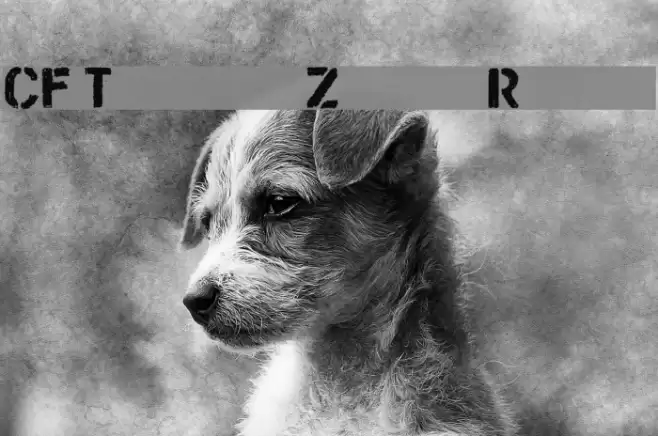 CF Trash Zone Regular Font examples