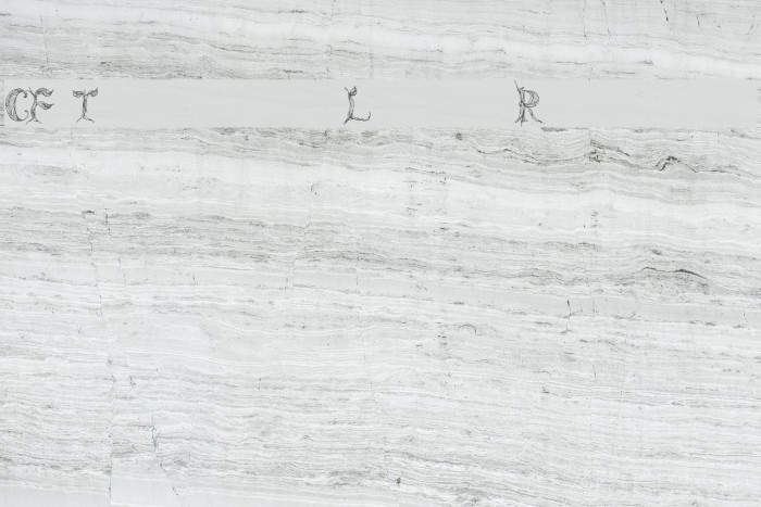 CF Tree of Life Regular Example 2