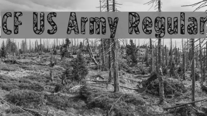 CF US Army Regular Font examples