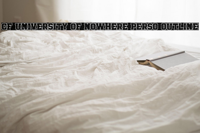 CF University of Nowhere PERSO Outline Example 3