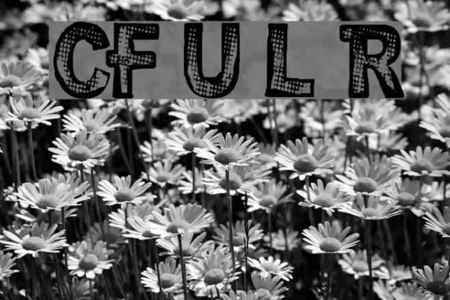 CF Urban Life Regular フォント examples