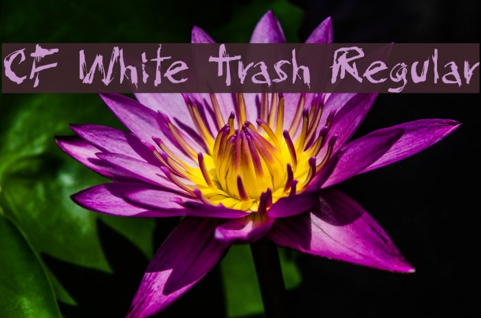 CF White Trash Regular Font examples
