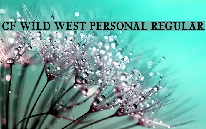 CF Wild West PERSONAL Regular फ़ॉन्ट examples