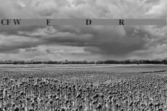 CF WireFrame Demo Regular Schriftart examples