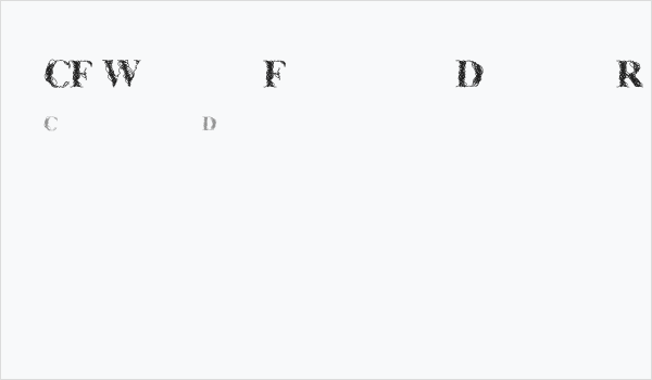 CF WireFrame Demo Regular Business Card