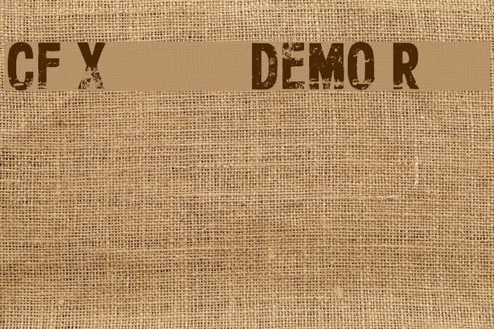 CF Xerography DEMO Regular Font examples