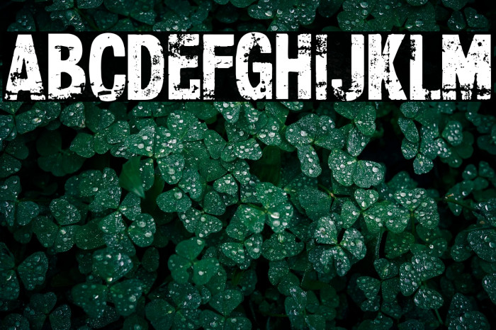 CF Xerography Demo Regular Example 1