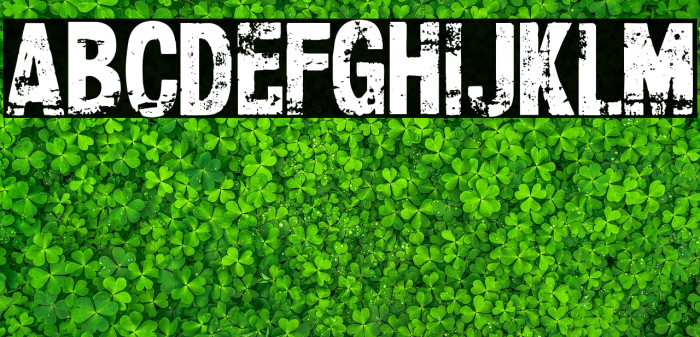 CF Xerography Demo Regular Example 3