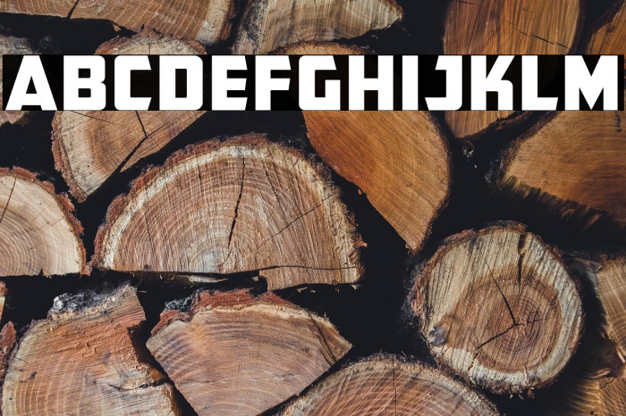 CFB1 American Patriot Normal Example 3