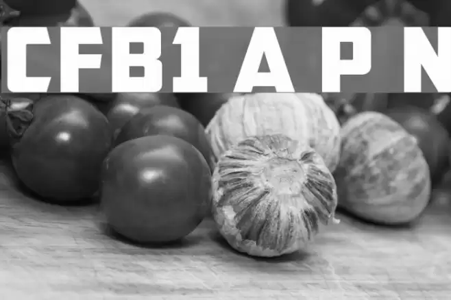 CFB1 American Patriot Normal Font examples