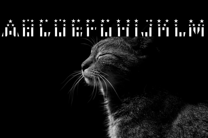 CFB1 American Patriot SOLID 2 Bold Example 3