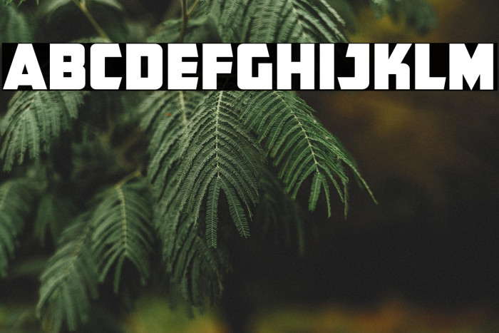 CFB1 American Patriot SOLID 2 Normal Italic Example 1