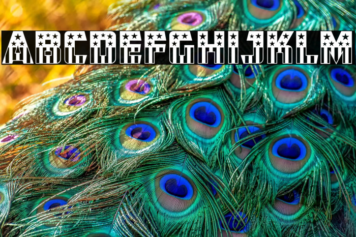 CFB1 American Patriot SOLID 2 Normal Example 1