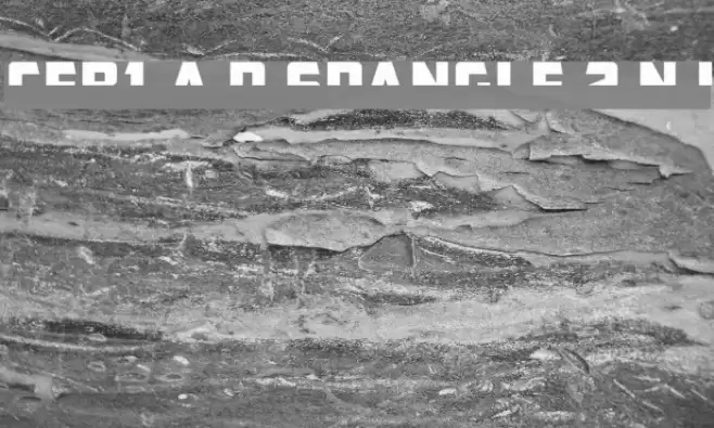 CFB1 American Patriot SPANGLE 2 Normal Italic 字体 examples