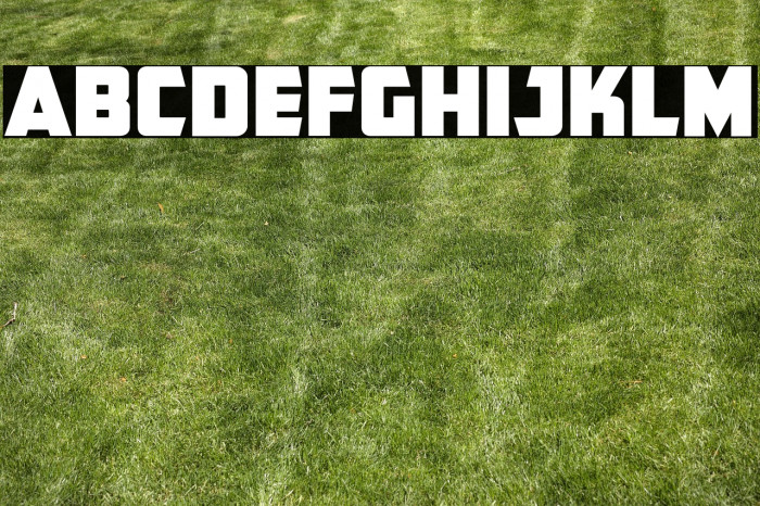 CFB1 American Patriot SPANGLE 2 Normal Example 2