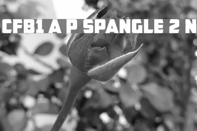 CFB1 American Patriot SPANGLE 2 Normal Font examples