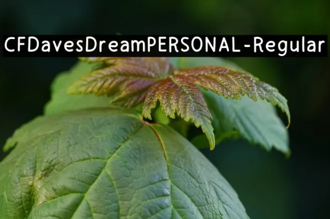 CFDavesDreamPERSONAL-Regular Example 1