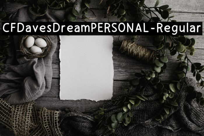 CFDavesDreamPERSONAL-Regular Example 2